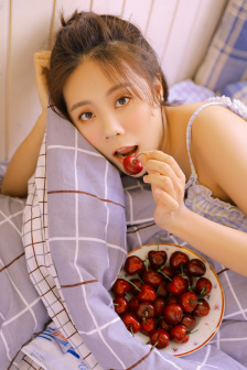 警车联盟动画片全集免费观看